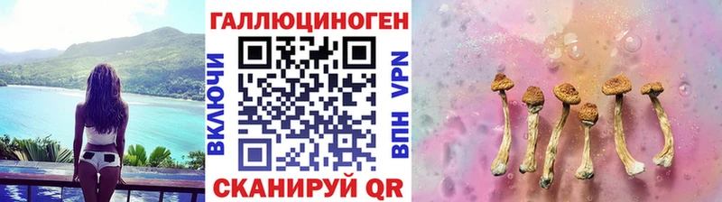 Псилоцибиновые грибы MAGIC MUSHROOMS Петровск-Забайкальский